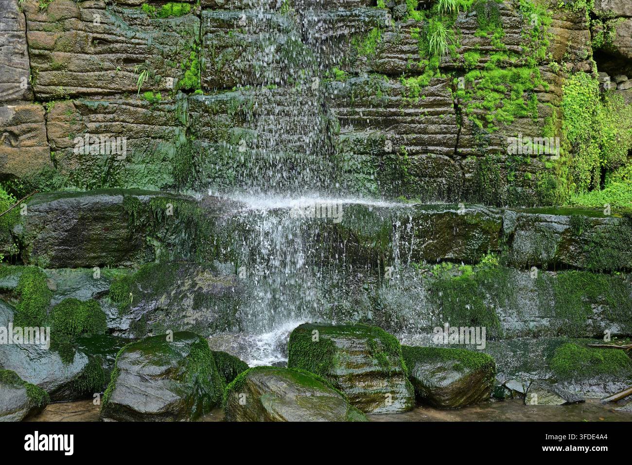 Piccola cascata muschiosa che cade su una parete rocciosa stratificata Foto Stock