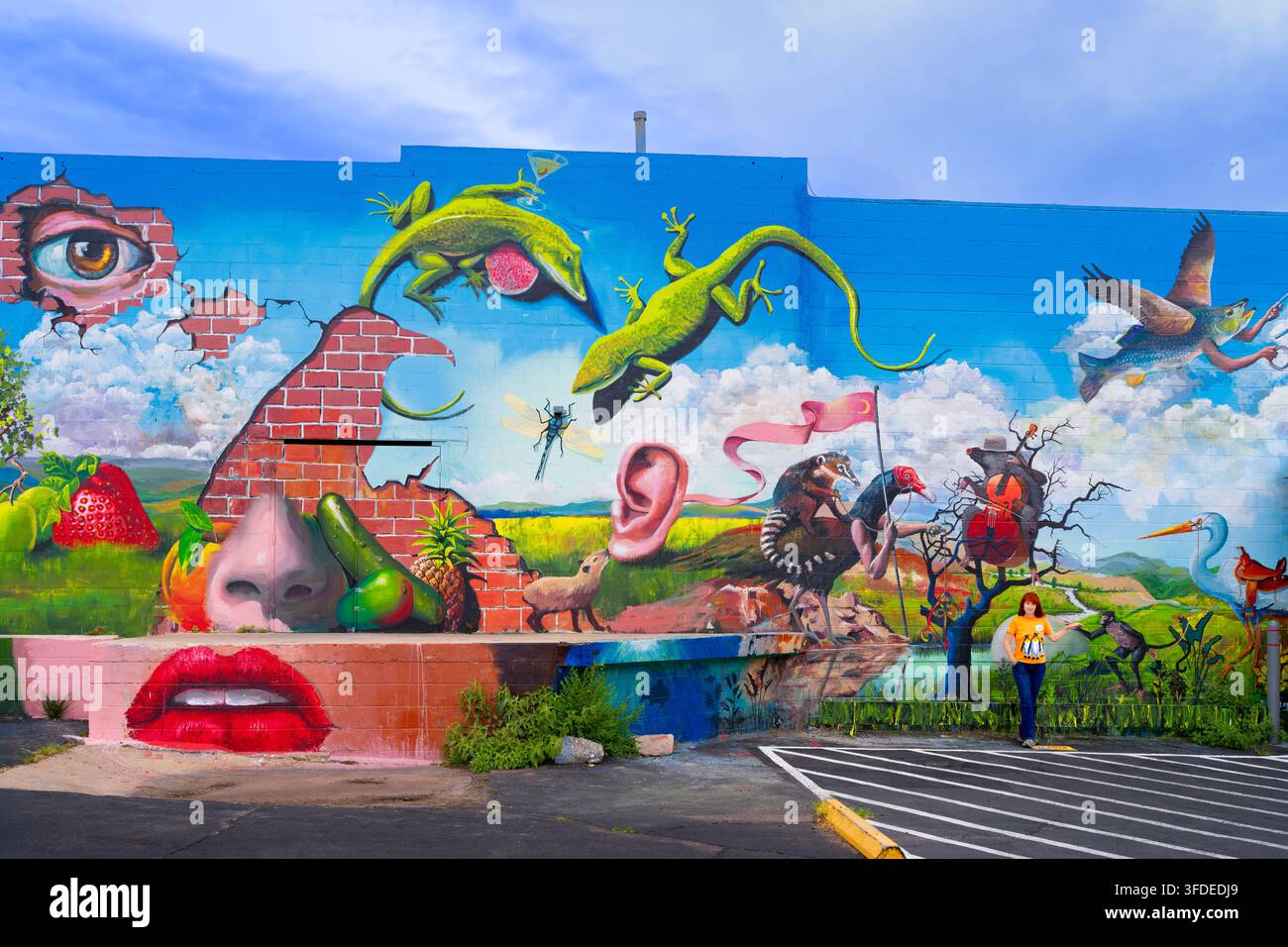 Edificio coperto di graffiti su Commerce St e Main St. Bisbee, Arizona, USA Foto Stock