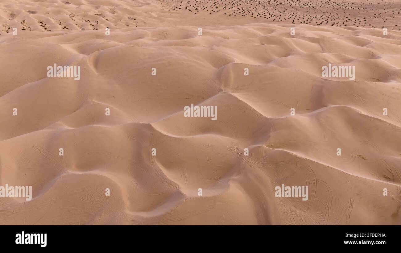 Veduta aerea delle dune di sabbia imperiali nel sud-est della California, che mostrano vaste formazioni di sabbia dorata, schemi ampi, terreno accidentato e il Foto Stock