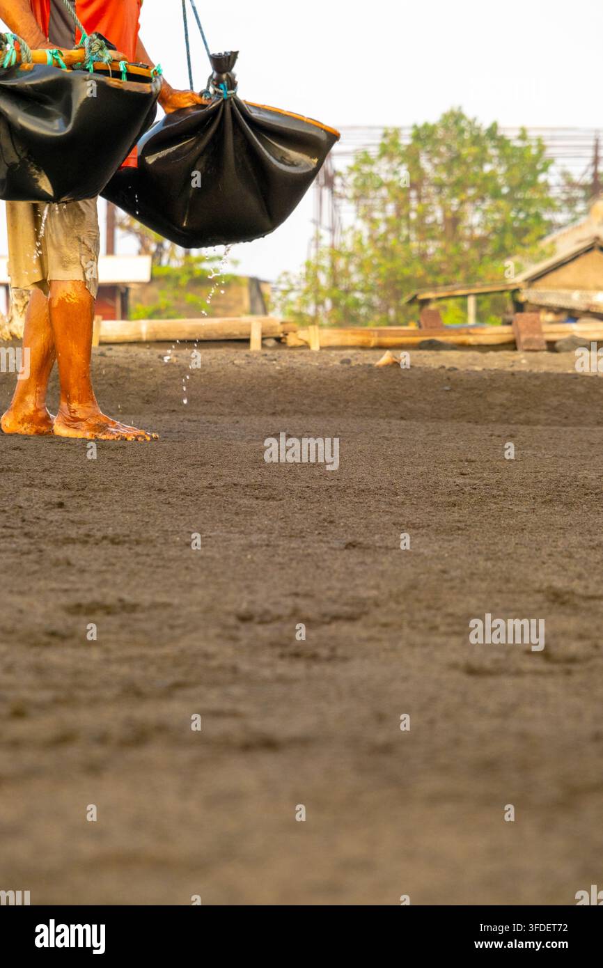 Un passo nel processo tradizionale di produzione del sale Kusamba: acqua di mare sparsa sulla sabbia, 17 agosto 2026, Bali, Indonesia. Foto Stock