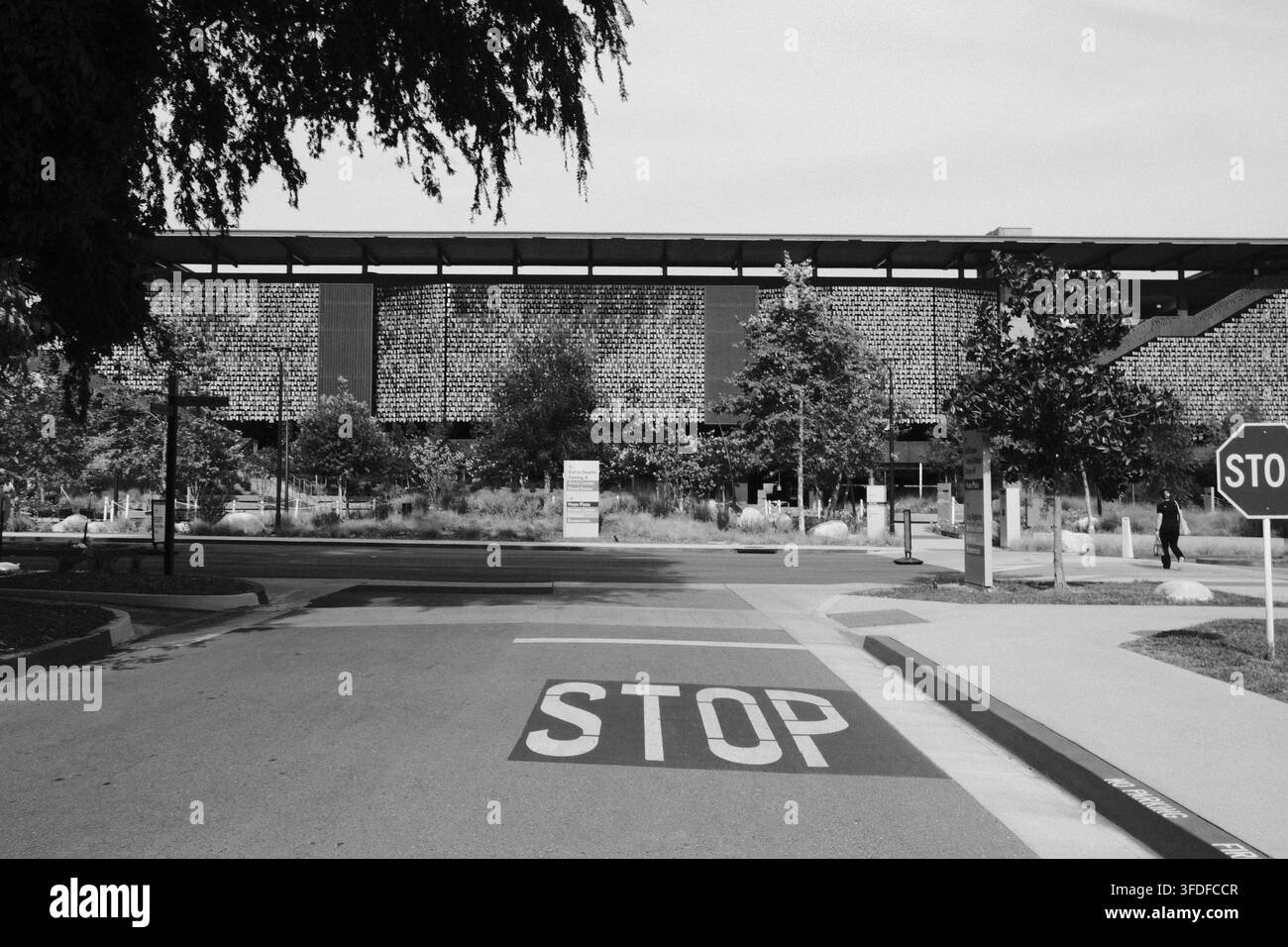 Un grande segnalazione stradale STOP domina un tranquillo incrocio alberato in una scena urbana in bianco e nero. Foto Stock