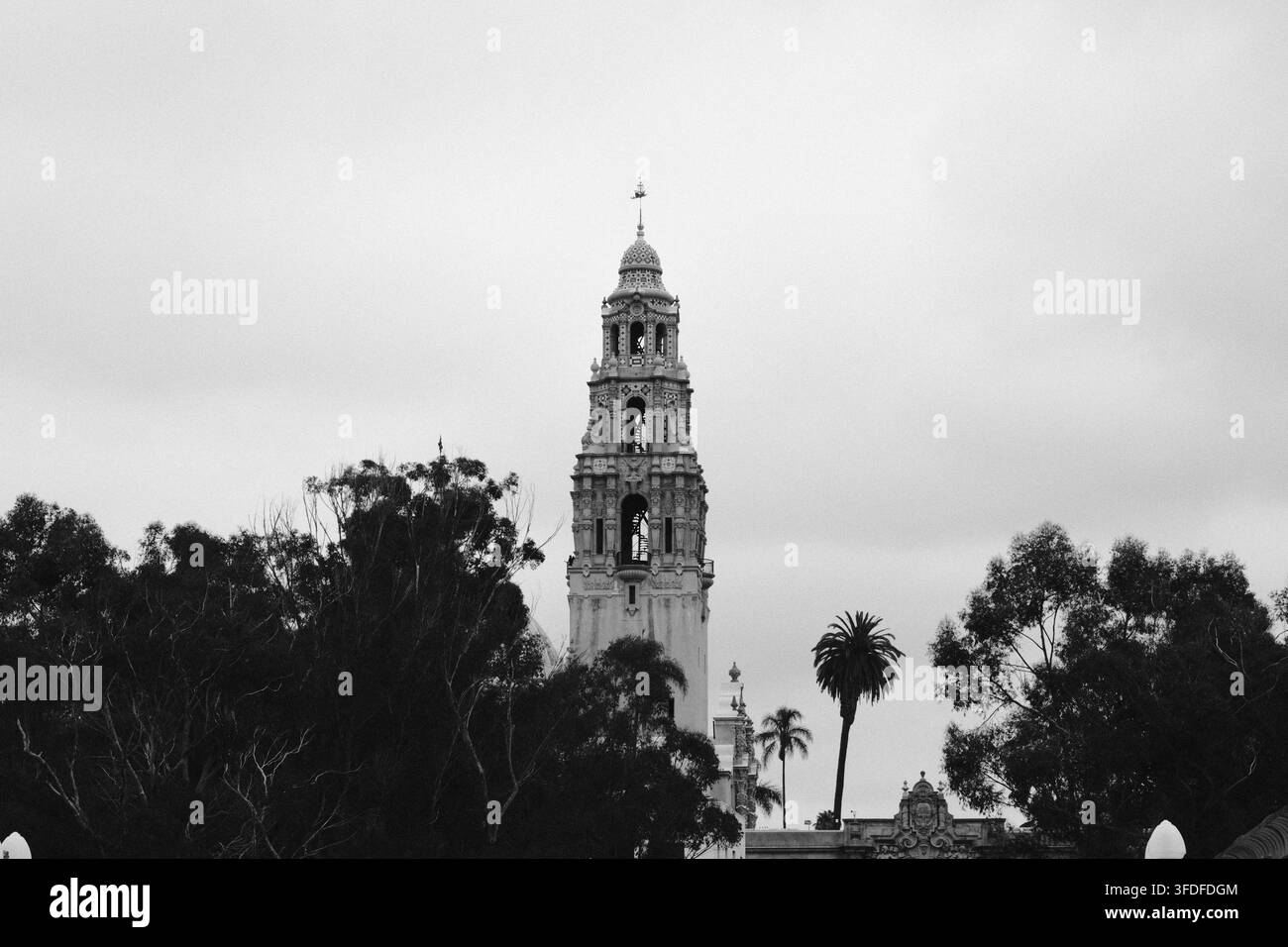 Torre storica in stile civico si erge sopra alberi maturi e palme in uno skyline nebbioso della California del Sud. Foto Stock