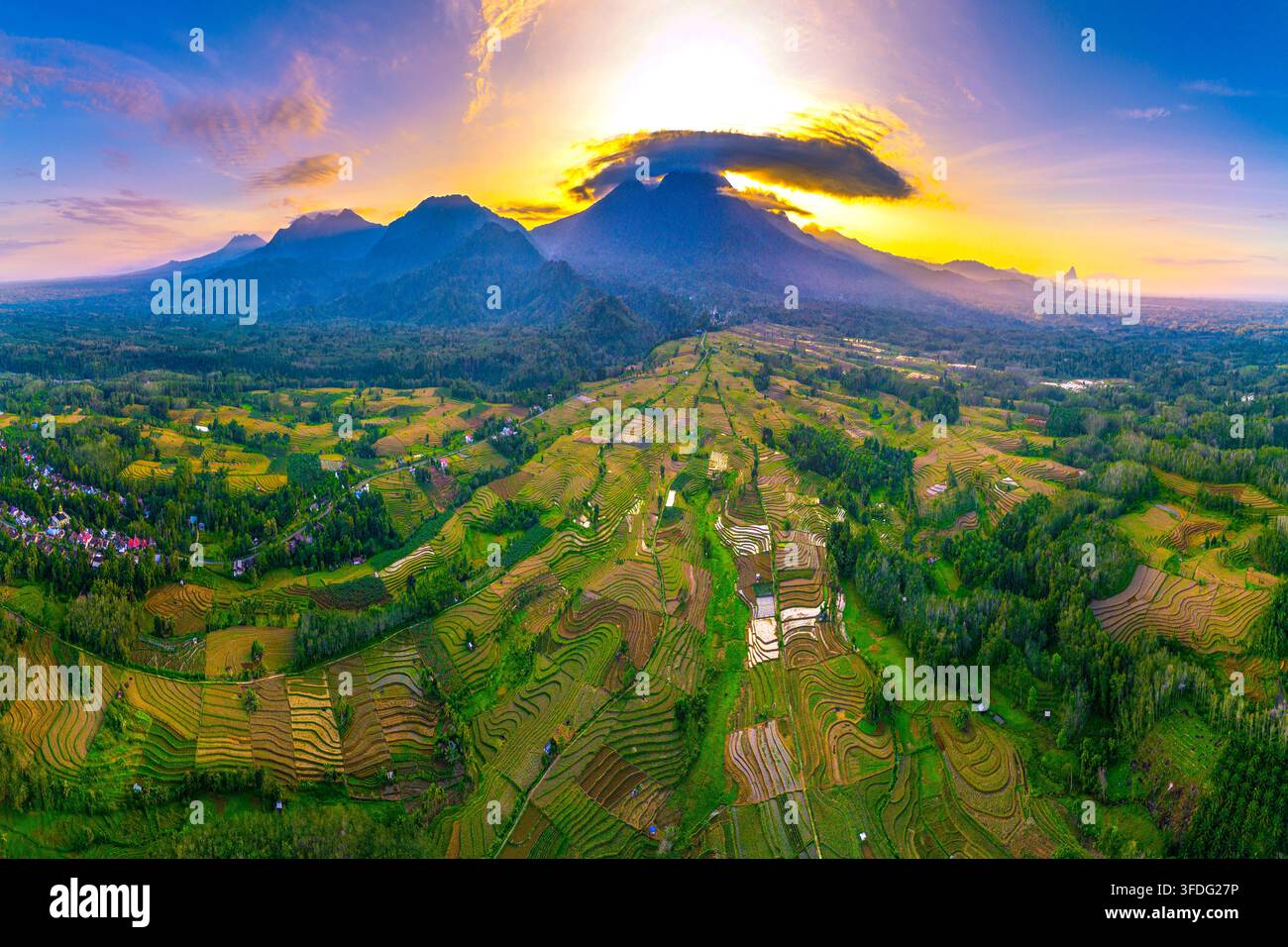 Bella vista aerea panoramica di campi di riso terrazzati all'alba Foto Stock