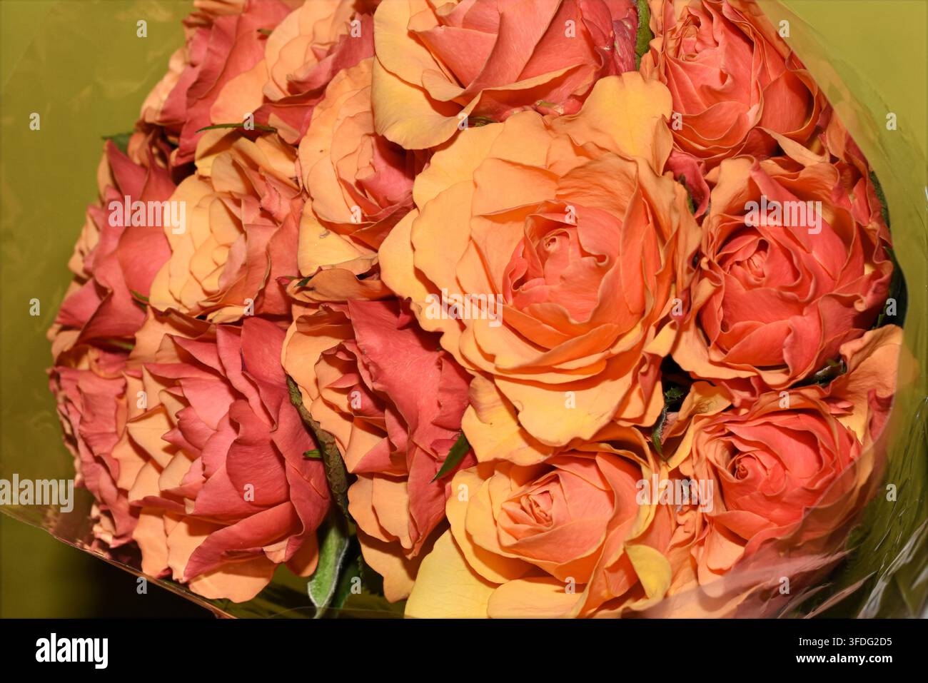 Vista dall'alto di un bouquet fresco di rose pesche e arancioni Foto Stock