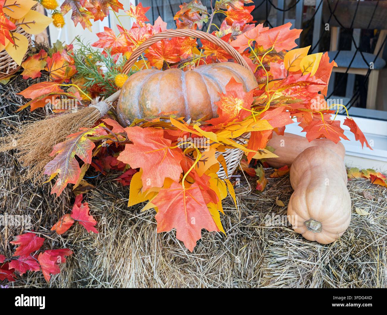 Zucca Musquée de Provence e zucca butternut con scopa di strega e foglie d’acero luminose su un ballotto di fieno per la decorazione di Halloween Foto Stock