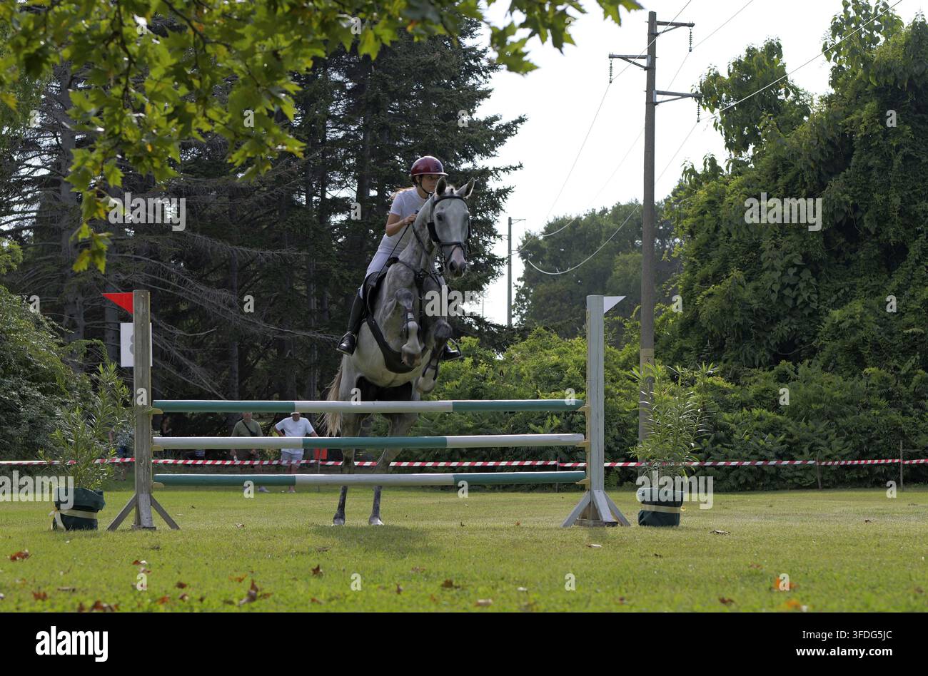 Atleta equestre su un cavallo grigio pomellato durante una competizione di salto a ostacoli. Il cavallo supera un ostacolo a strisce verdi e bianche. Bulgaria, Varna, 30 Foto Stock