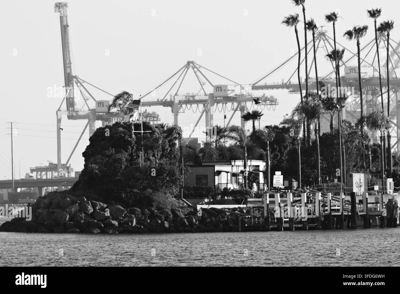 Un'isola portuale fiancheggiata da palme si trova davanti alle lontane gru del porto su un'acqua blu. Foto Stock