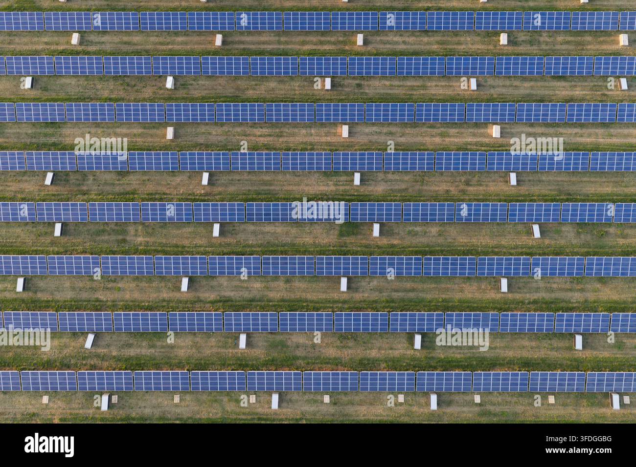 Vista aerea di file di pannelli solari installati in un campo verde, che mostra le infrastrutture energetiche sostenibili nel Regno Unito. Foto Stock