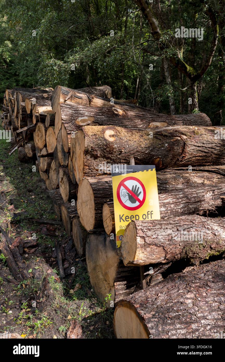 Segnale Keep of Logs di Forestry England Foto Stock