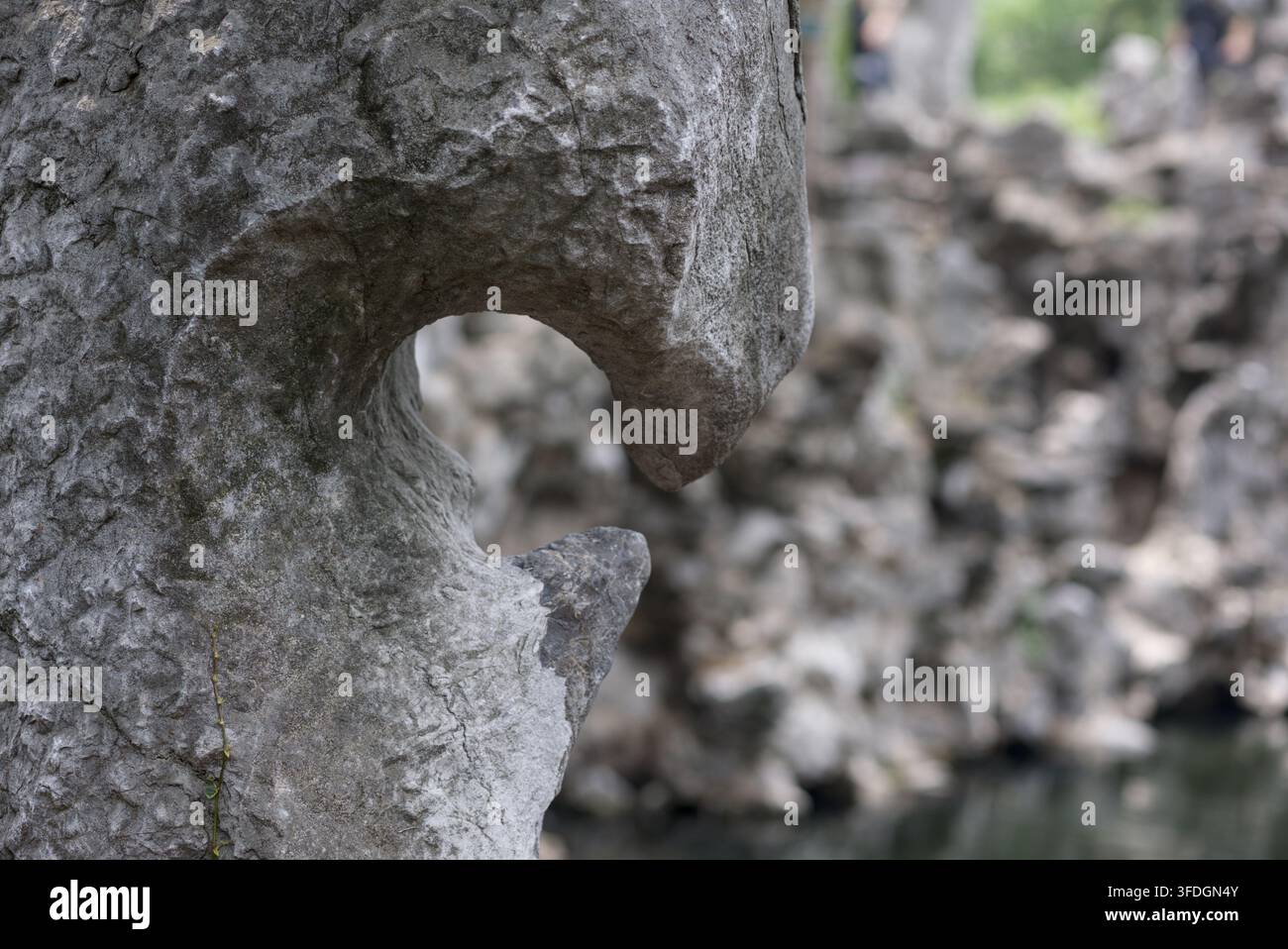 Formazione rocciosa naturale a forma di gancio al Lion Grove Garden, Suzhou, Cina Foto Stock