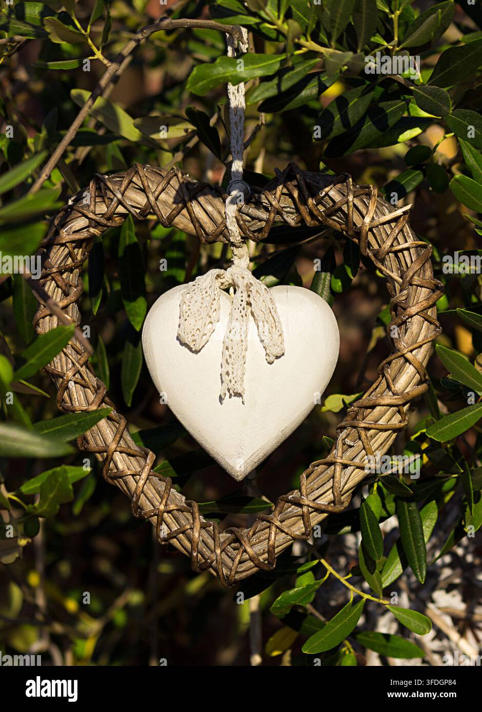Decorazione in ceramica bianca a forma di cuore con nastro di pizzo all'interno di una ghirlanda di vimini intrecciata appesa a rami di ulivo verde in un giardino soleggiato Foto Stock