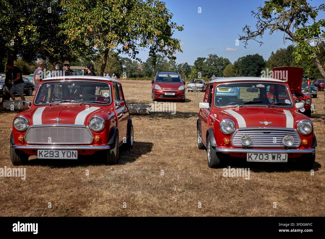 Auto Mini classiche affiancate in livrea identica a una mostra di auto d'epoca in Inghilterra, Regno Unito Foto Stock