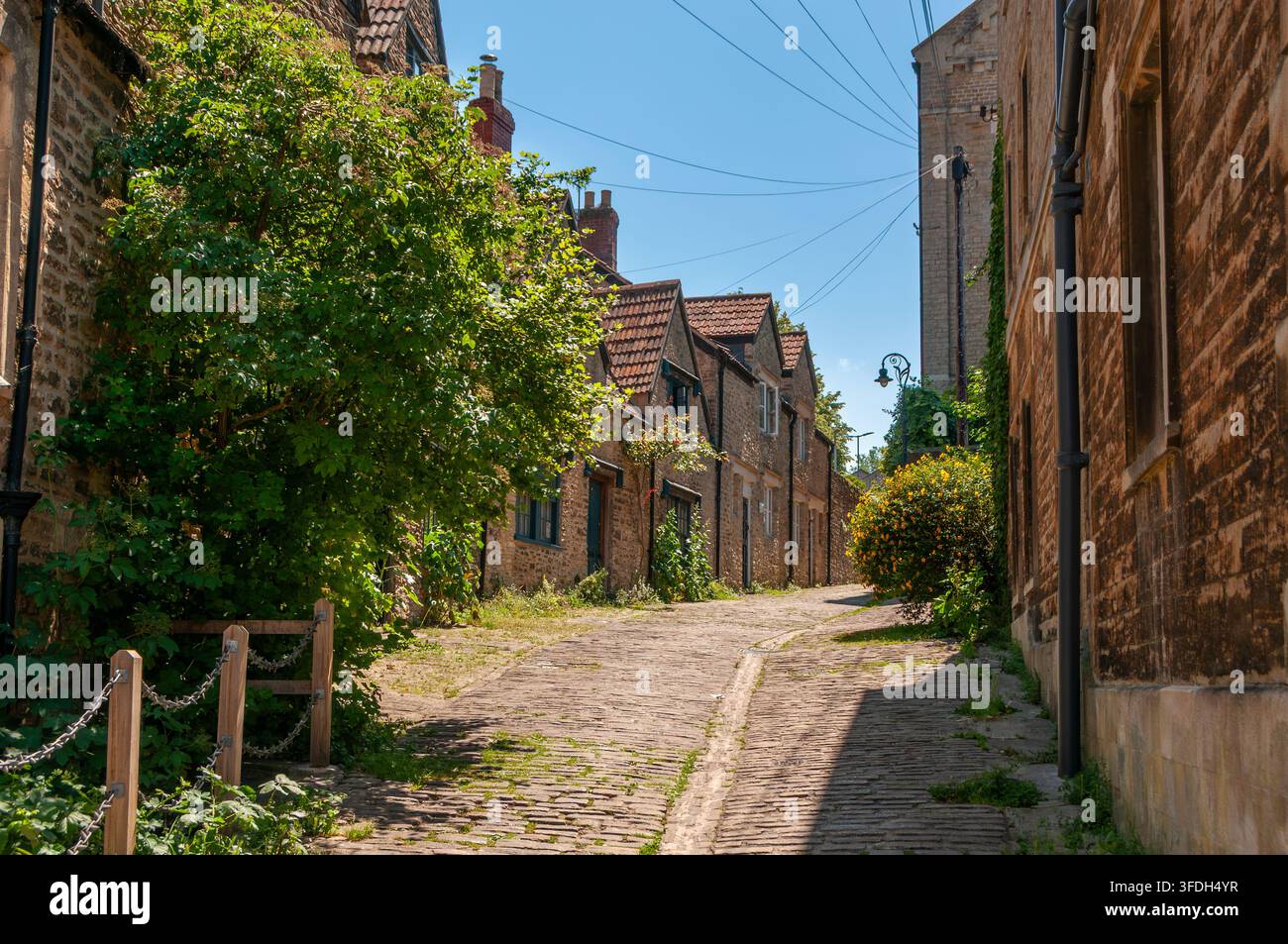 Via acciottolata Gentle con cottage in pietra e un arbusto fiorito, Frome, Somerset, Inghilterra Foto Stock