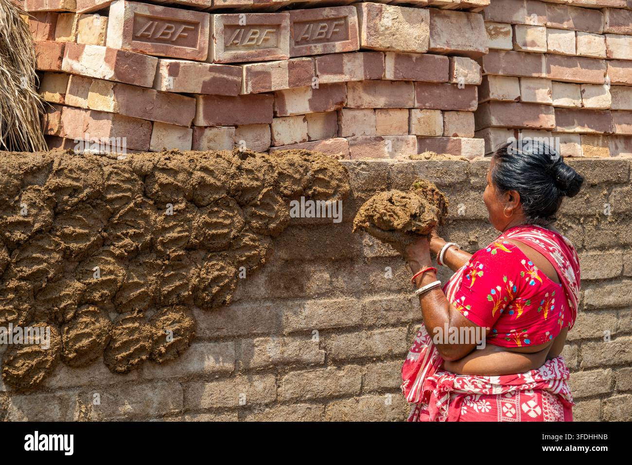 Una donna in abiti tradizionali indiani che utilizza sterco di mucca e paglia per fare pastiglie per il combustibile. Queste vengono essiccate sul muro di mattoni per una settimana Foto Stock