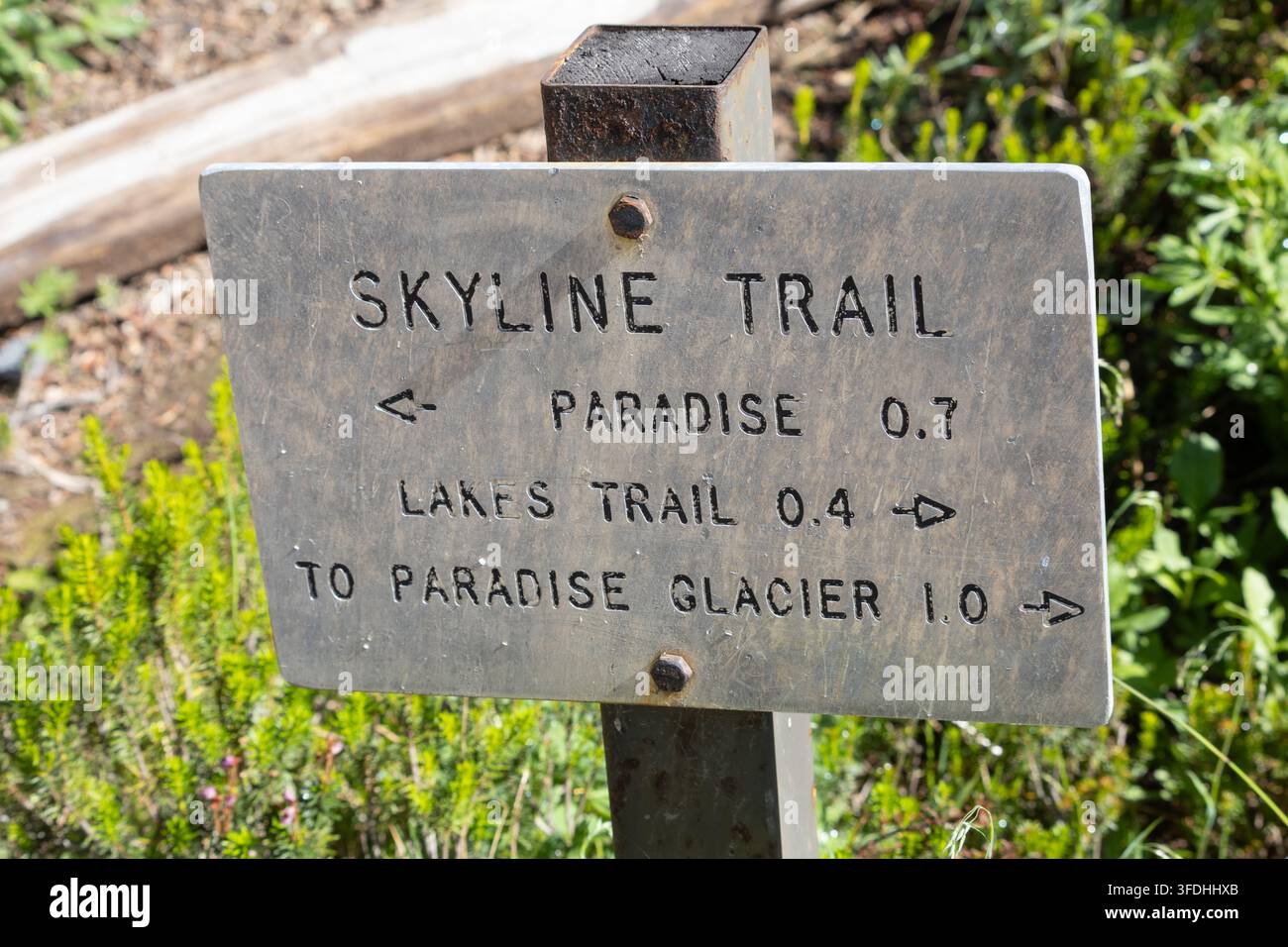Segnale di direzione dello Skyline Trail per Paradise, Lakes Trail e Paradise Glacier nel Parco Nazionale del Monte Rainier, Washington, USA Foto Stock