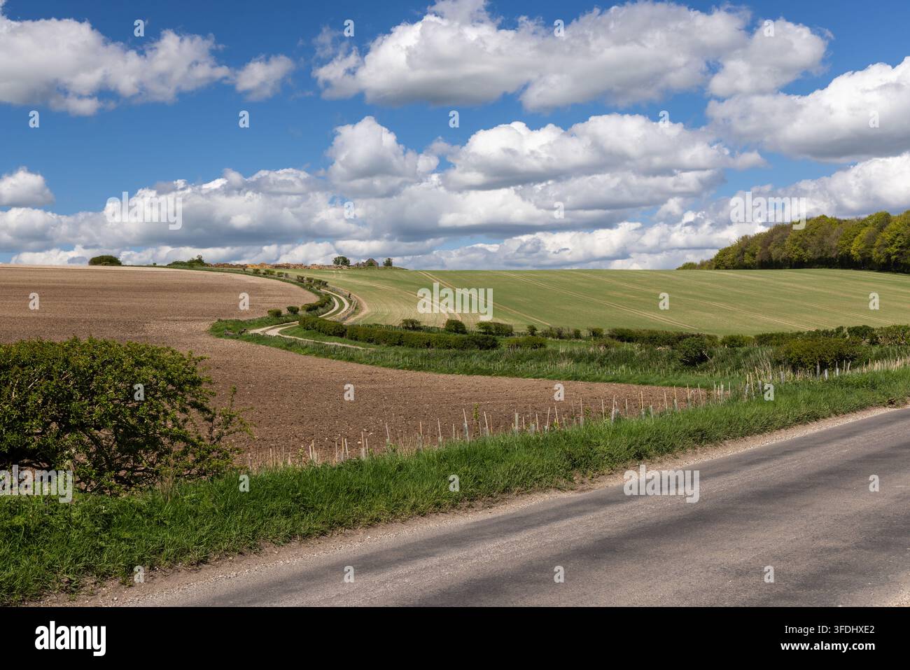 Meravigliosa campagna inglese delle North Wessex Downs - Pewsey Downs, Wiltshire Inghilterra, Regno Unito Foto Stock
