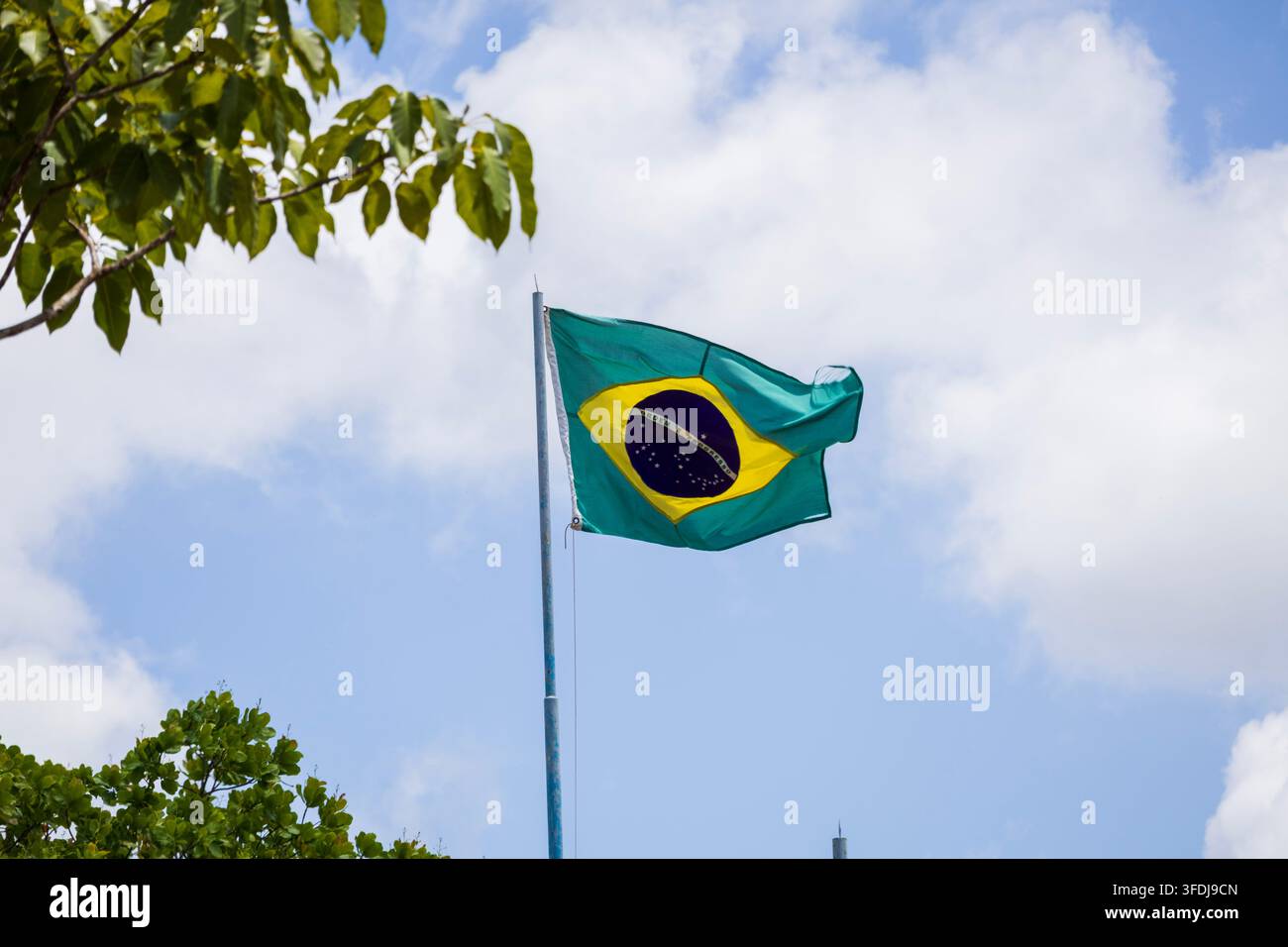 Bandiera brasiliana che sventola orgogliosamente con l'ala incorniciata da rami di vegetazione verde contro il cielo blu con nuvole soffici sparse Foto Stock