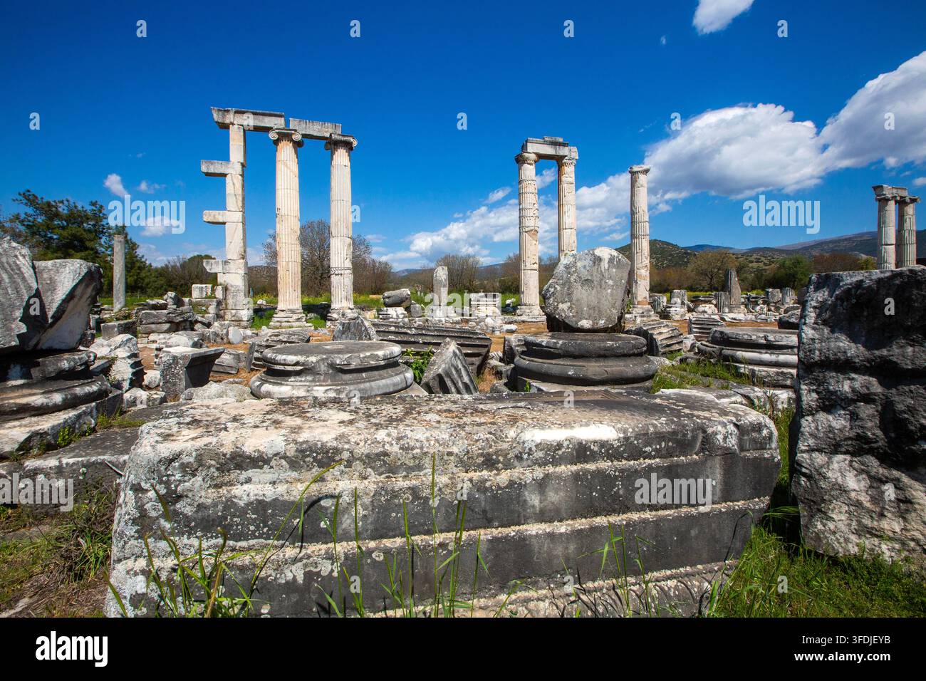 Vista panoramica dell'antico tempio di Afrodite con colonne in piedi ad Afrodisia Foto Stock