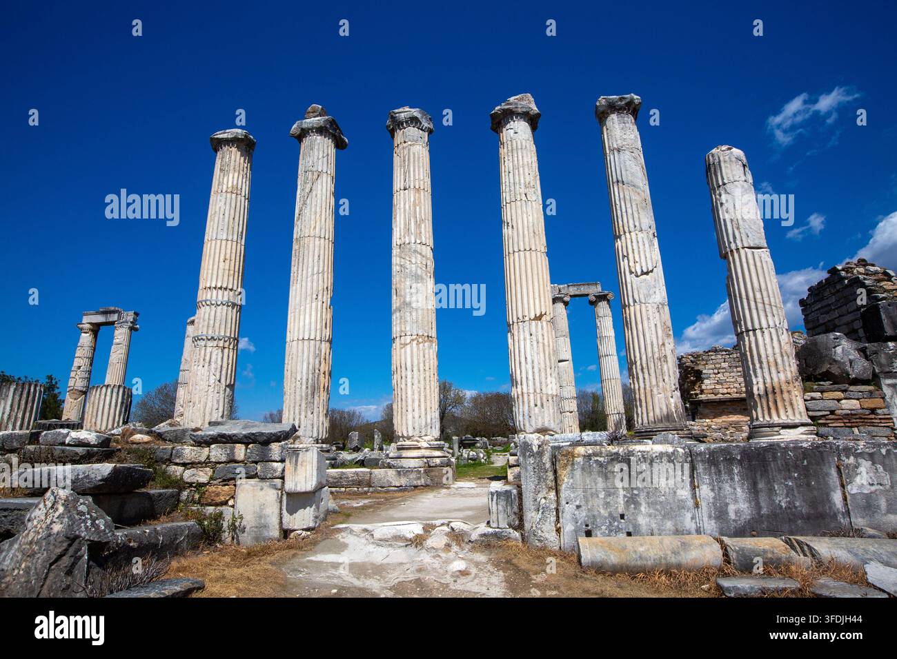 Vista panoramica dell'antico tempio di Afrodite con colonne in piedi ad Afrodisia Foto Stock