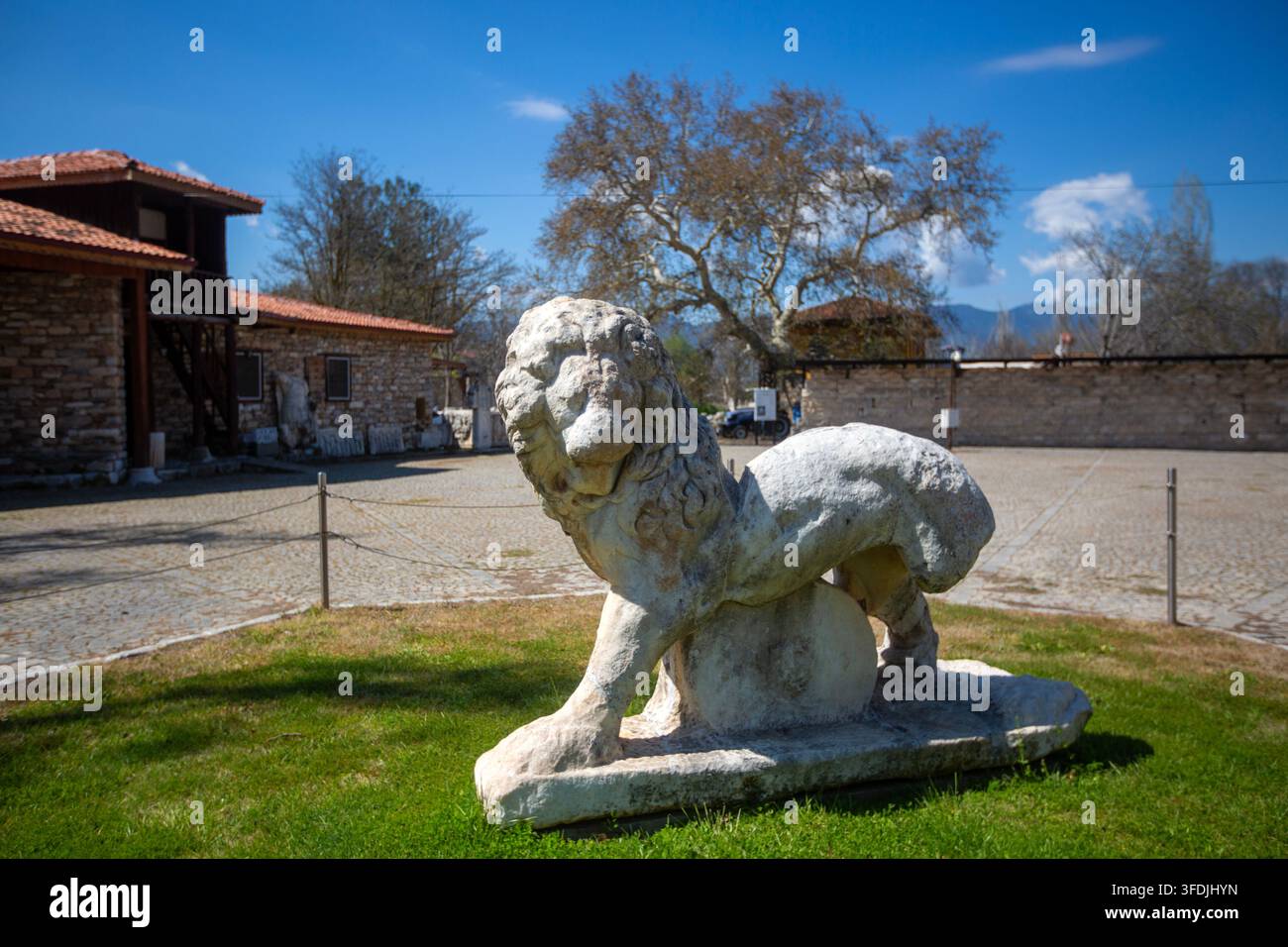 Scultura in marmo di un leone antico nel giardino del museo di Aphrodisias, Turchia Foto Stock