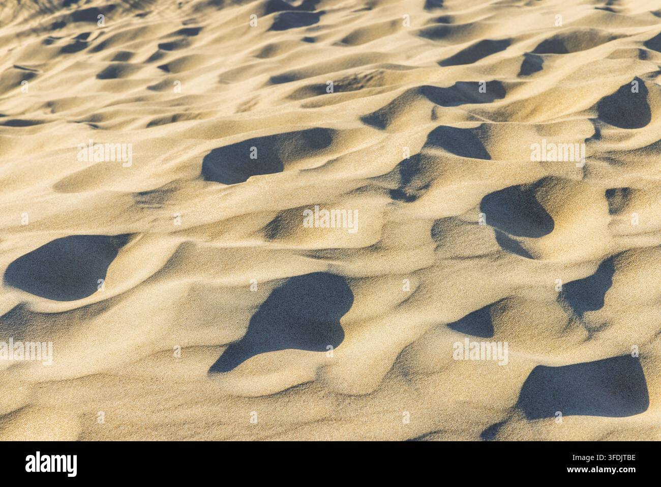 Primo piano astratto di dune di sabbia desertica con modelli ritmici e ombre profonde che creano una texture visivamente accattivante, evidenziando l'arte della natura Foto Stock