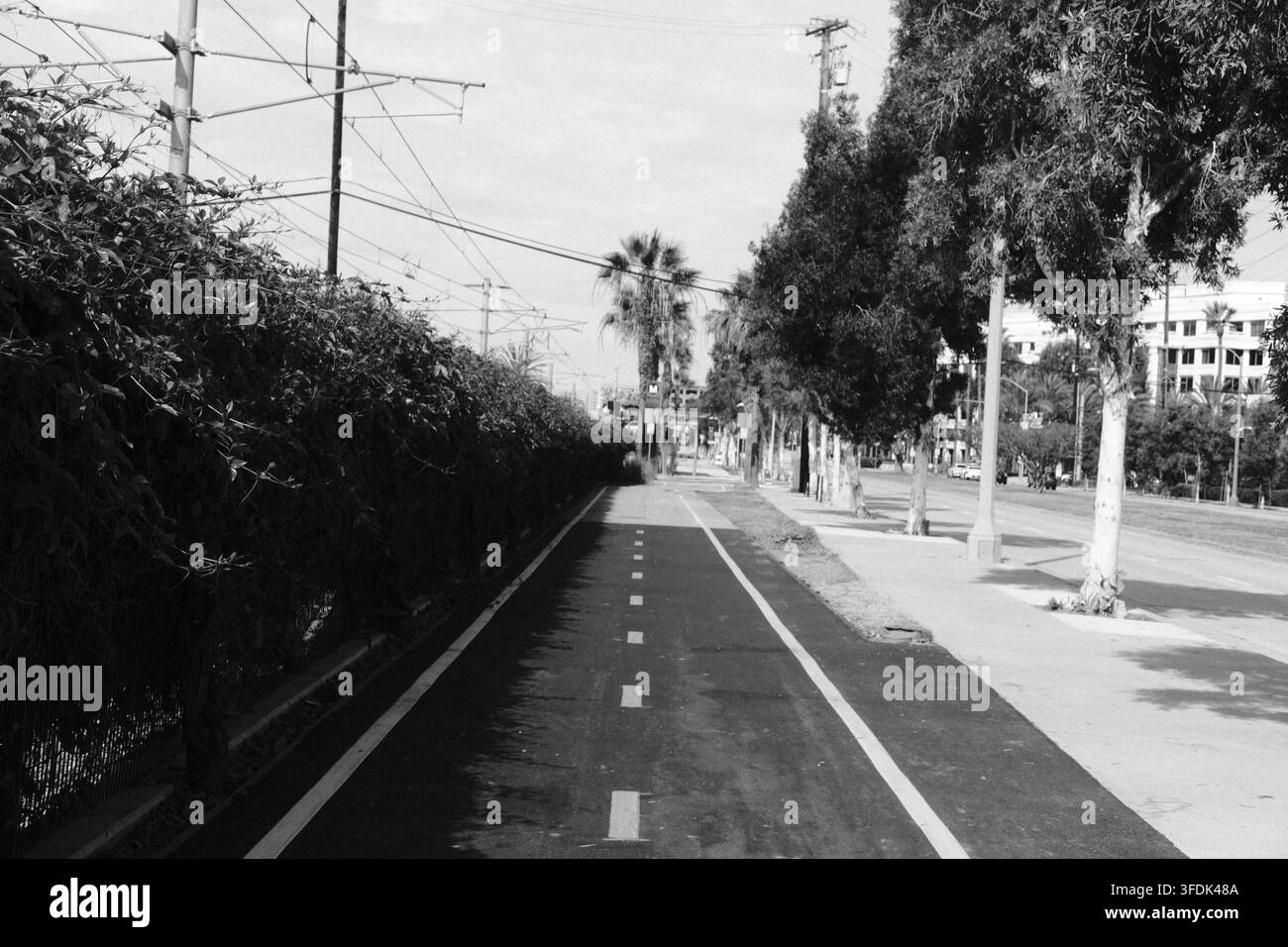 Percorso ciclabile pavimentato dedicato che corre lungo le linee elettriche e la vegetazione in un quartiere di Los Angeles Ovest. Foto Stock