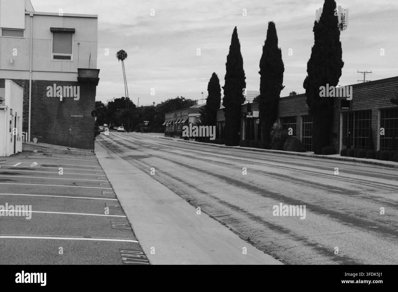 Tranquilla strada del sud della California fiancheggiata da alti e stretti cipressi e edifici bassi. Foto Stock