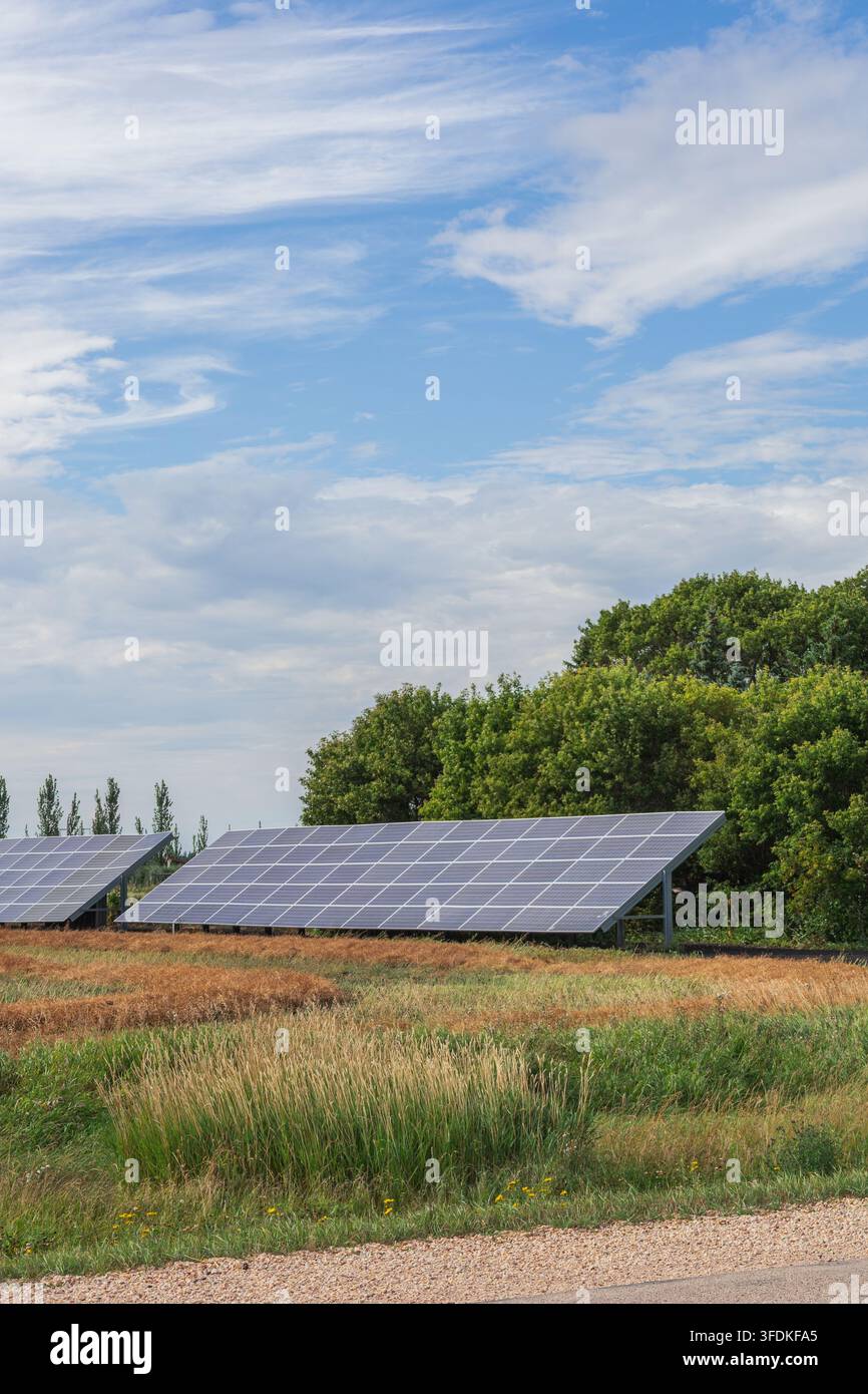 Pannelli solari installati in un campo rurale circondato da vegetazione verde e alberi sotto un cielo blu parzialmente nuvoloso, rappresentanti l'energia rinnovabile e sus Foto Stock