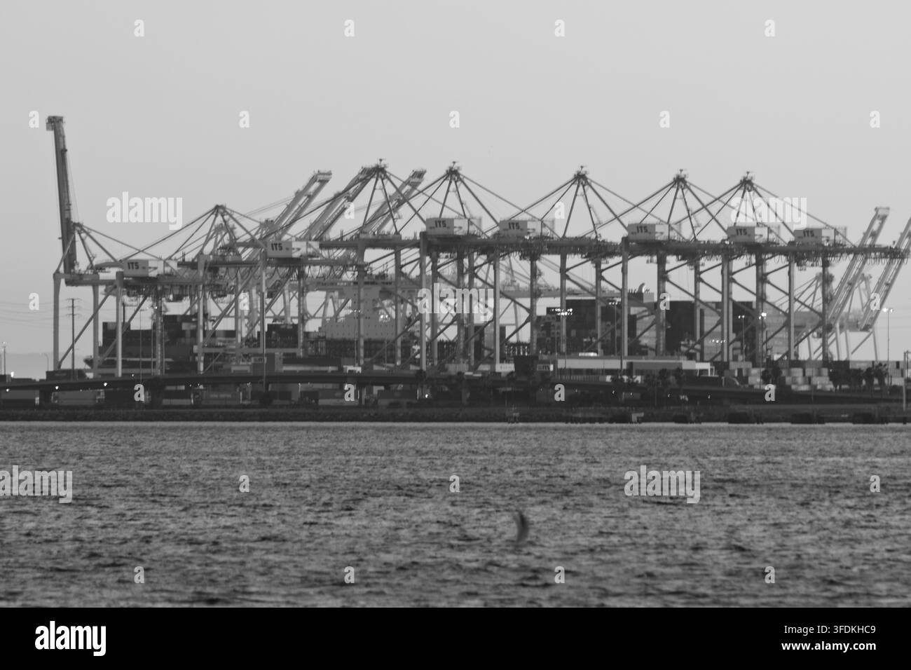 Grane per container e carichi impilati riempiono lo skyline del porto di Long Beach lungo il lungomare del porto. Foto Stock