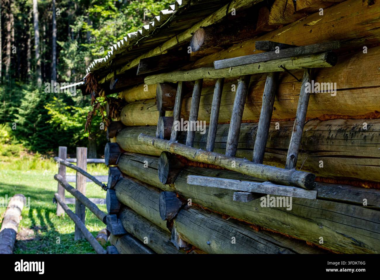 Muro di capanna di legno stagionato con una scala rustica fatta a mano appesa a tronchi. La luce estiva brillante e lo sfondo di foresta profonda creano una tranquilla proprietà alpina Foto Stock