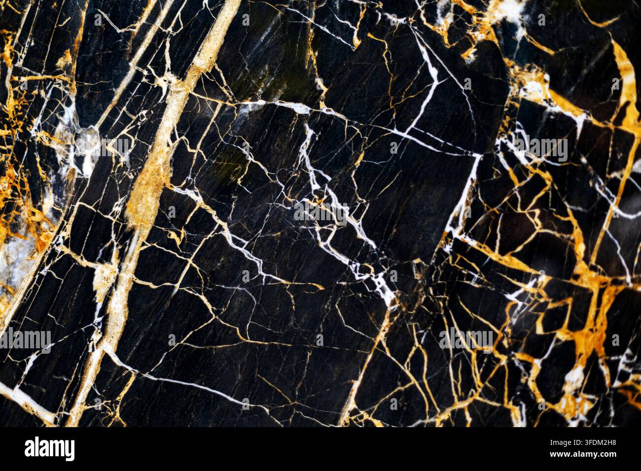 Struttura di marmo nero con venature dorate e bianche. Primo piano di marmo nero lucidato con venature dorate e bianche drammatiche, crepe fini e irregolari Foto Stock