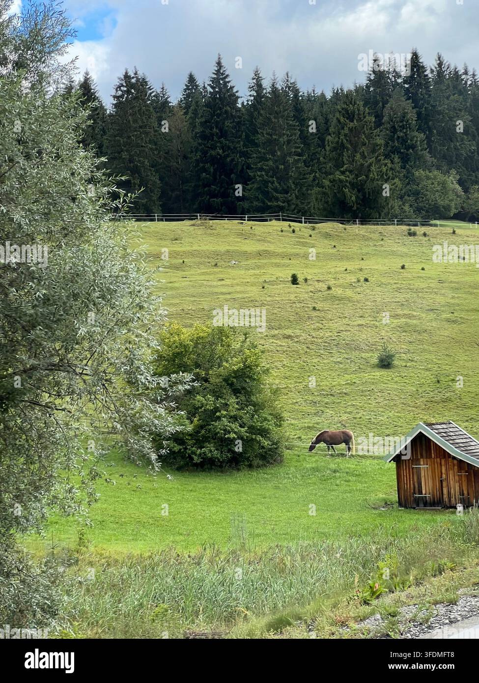 Strada panoramica attraverso le Alpi austriache, circondata da montagne, foreste sempreverdi e bellissimi paesaggi naturali, con auto che viaggiano lungo - Immagine stock catturata con smartphone