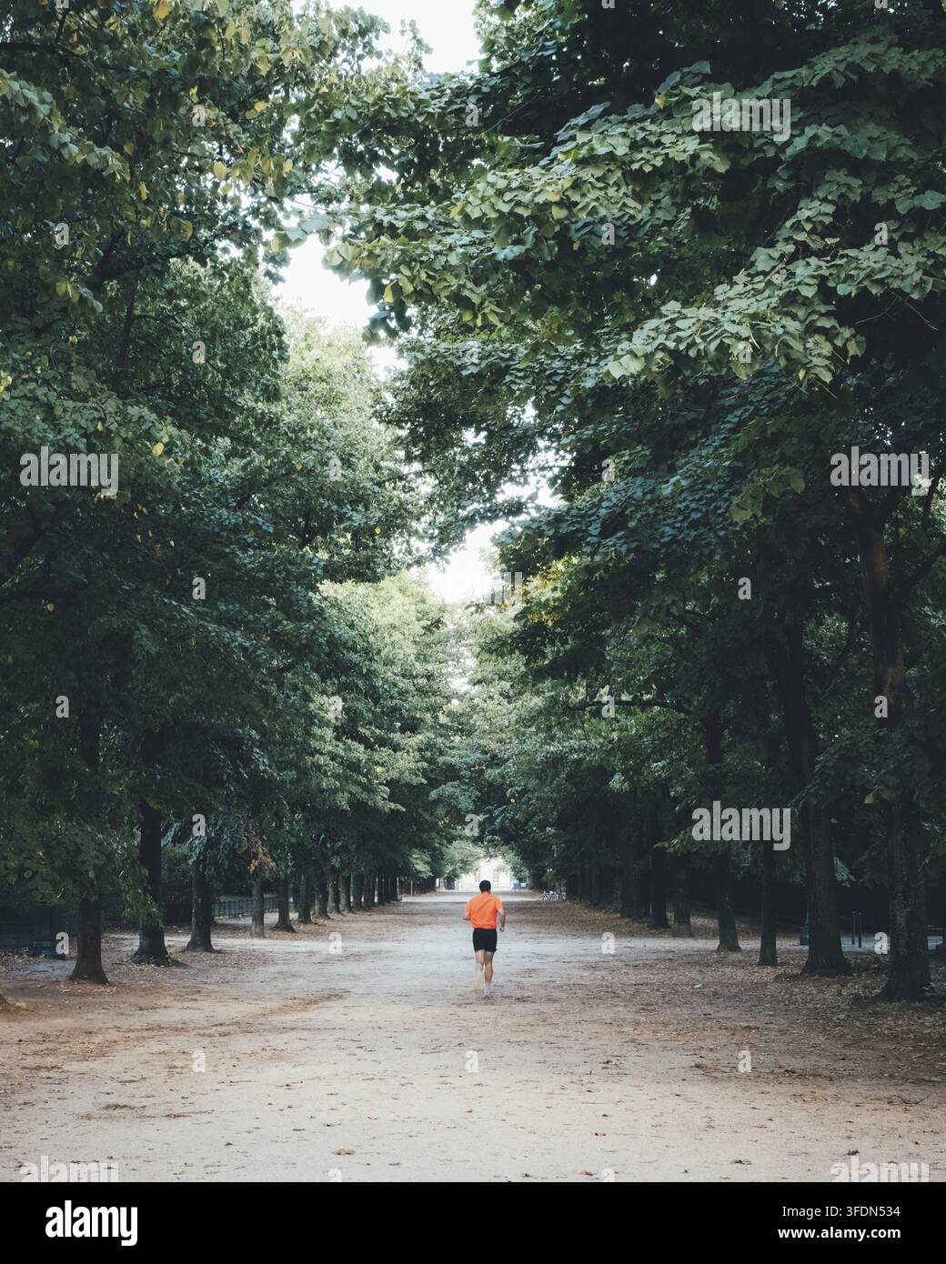 Jogger corre su un sentiero del parco fiancheggiato da alberi folti in estate, Champ de Mars, Parigi, Île-de-France, Francia Foto Stock