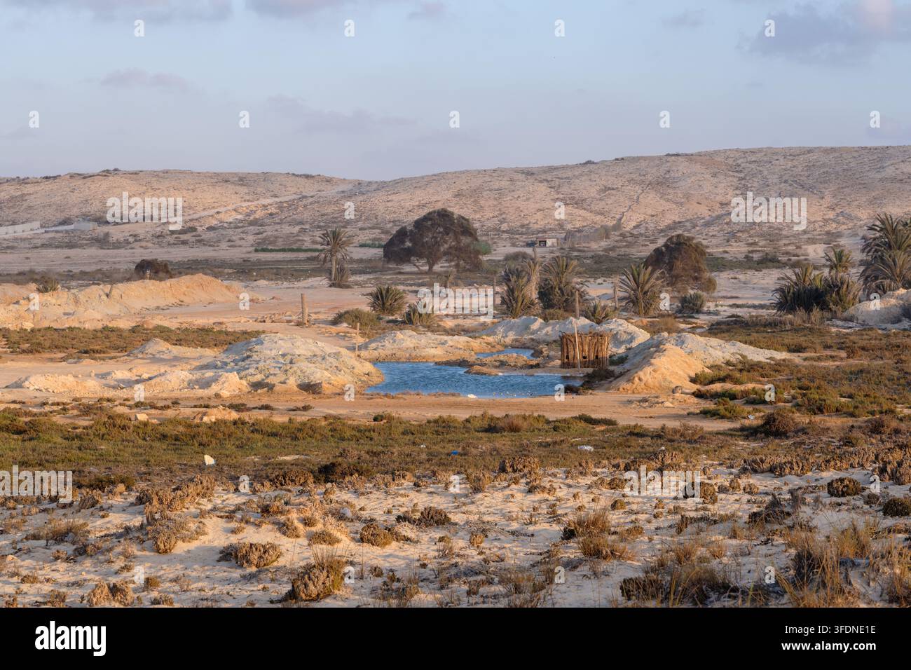 Stazione per la cattura di uccelli migratori con piscina artificiale, nascondiglio di canne, esche di trampolieri e reti, costa mediterranea, governatorato di Matrouh, Egitto Foto Stock