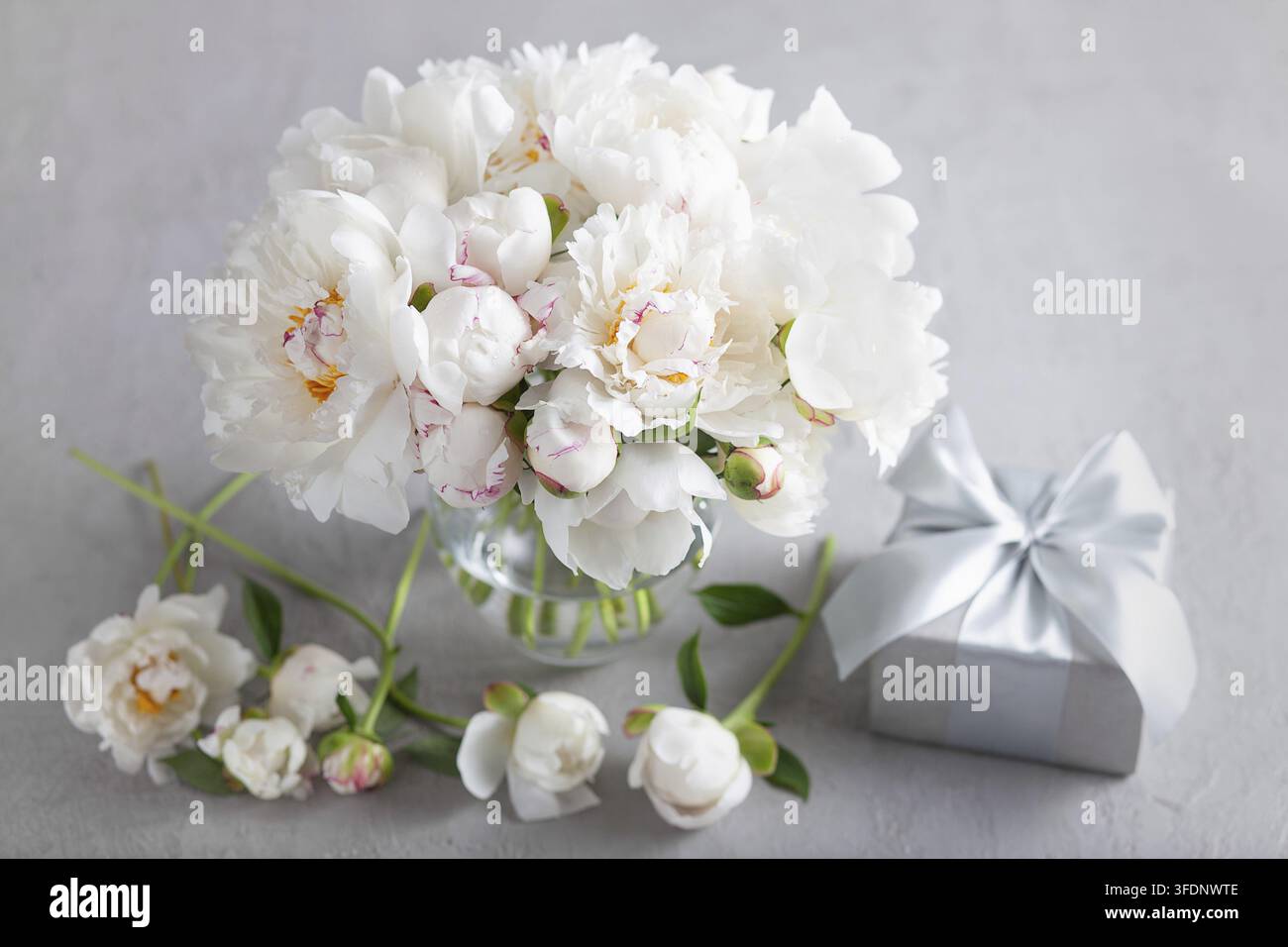 Mazzo di rose di maggio bianche in una vasa di vetro con scatola regalo grigia. Elegante composizione floreale su sfondo strutturato. Concetto per la madre Foto Stock