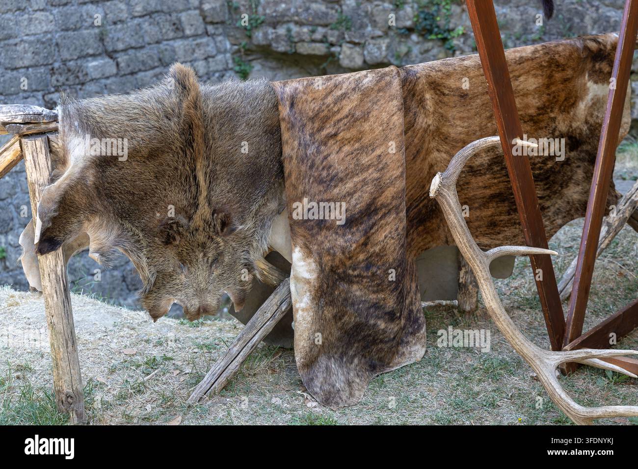 Pelli di animali e corna di cervo esposti su scaffali di legno vicino a un'antica parete di pietra. Foto Stock