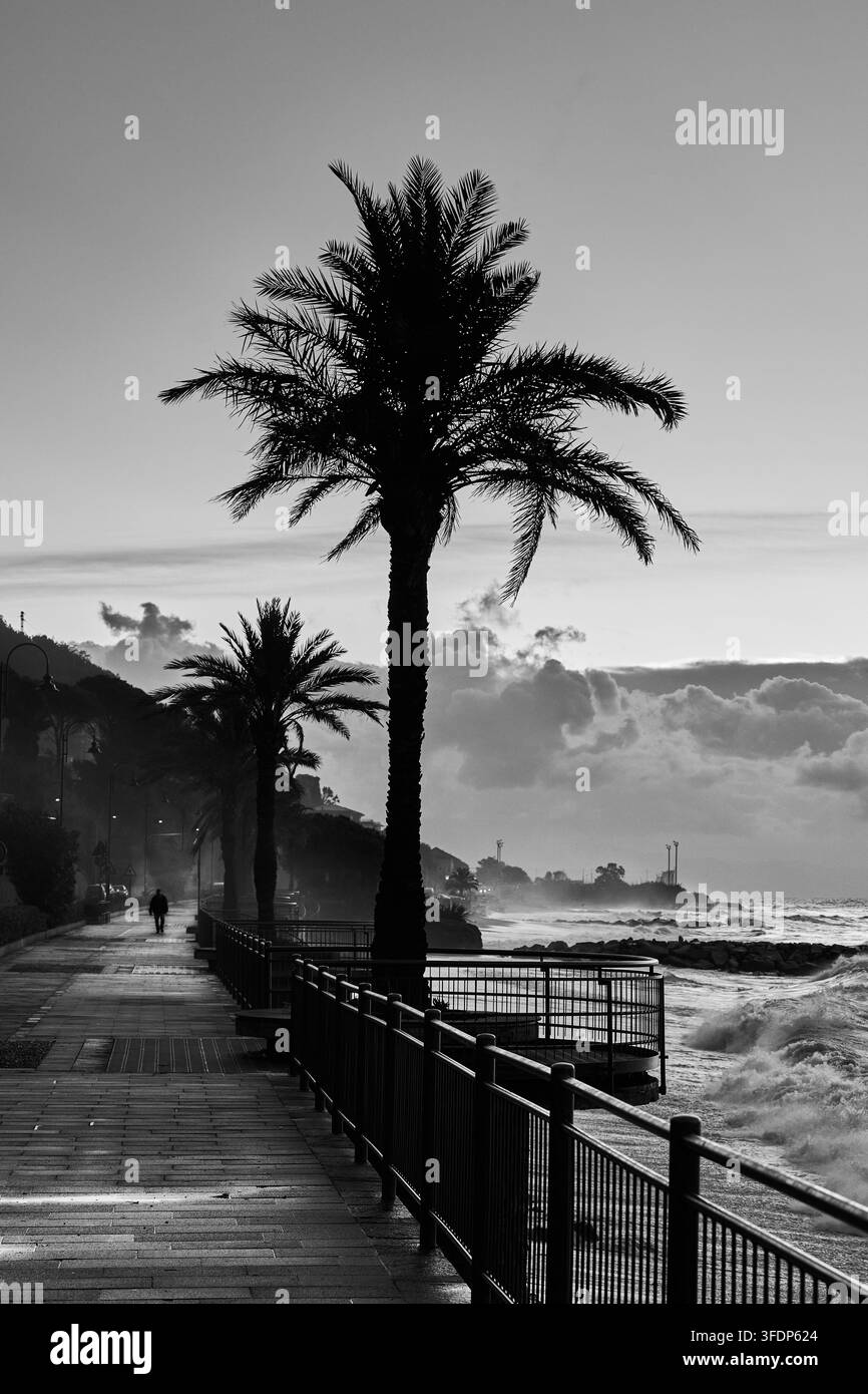 Promenade sul lungomare fiancheggiata da palme che si affaccia sul Mar Mediterraneo e sulle onde che si infrangono sulla costa ligure, Italia. Foto Stock