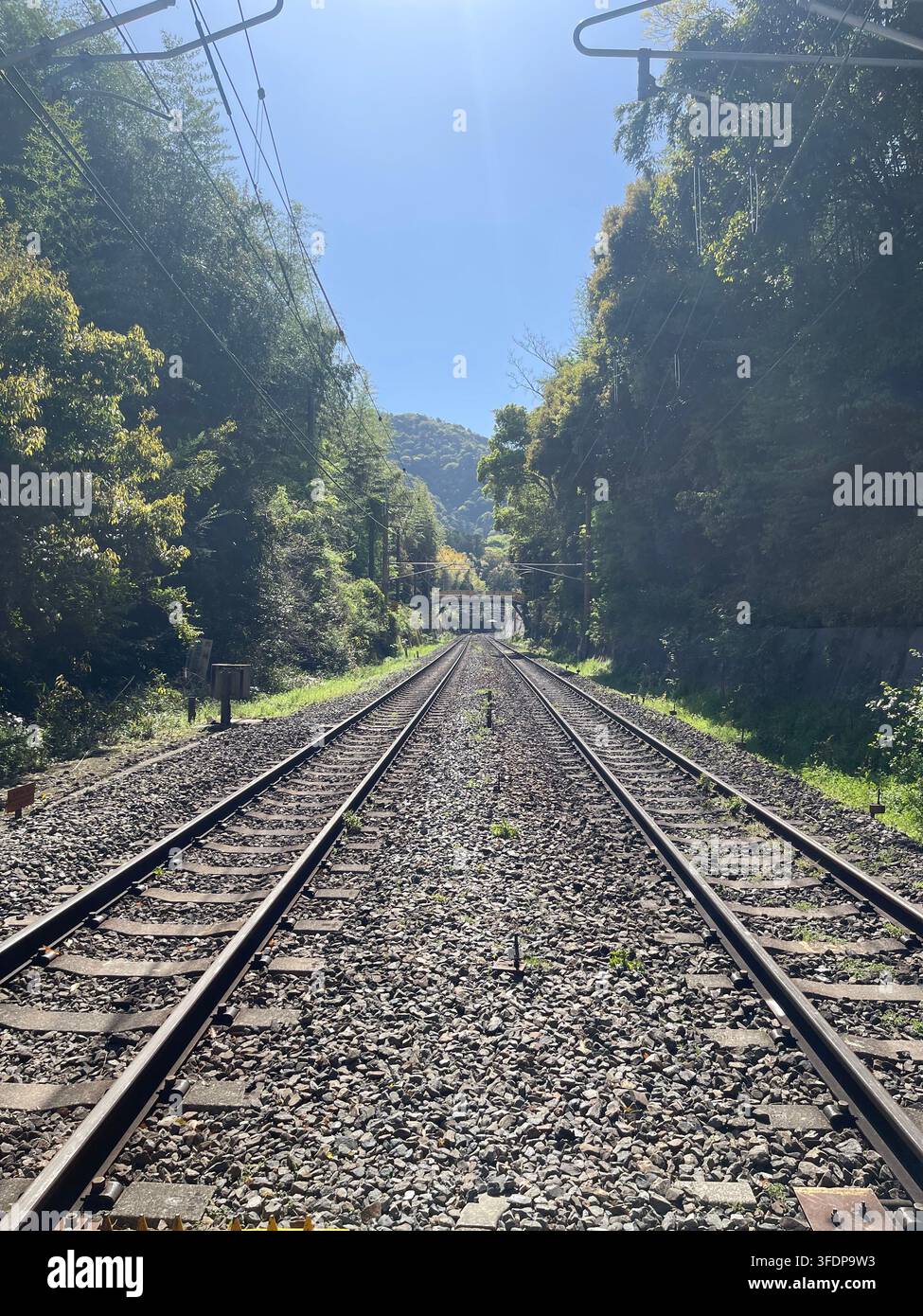 Binari ferroviari giapponesi che attraversano un paesaggio montano verdeggiante, circondato da foreste e paesaggi rurali in Giappone. Foto Stock