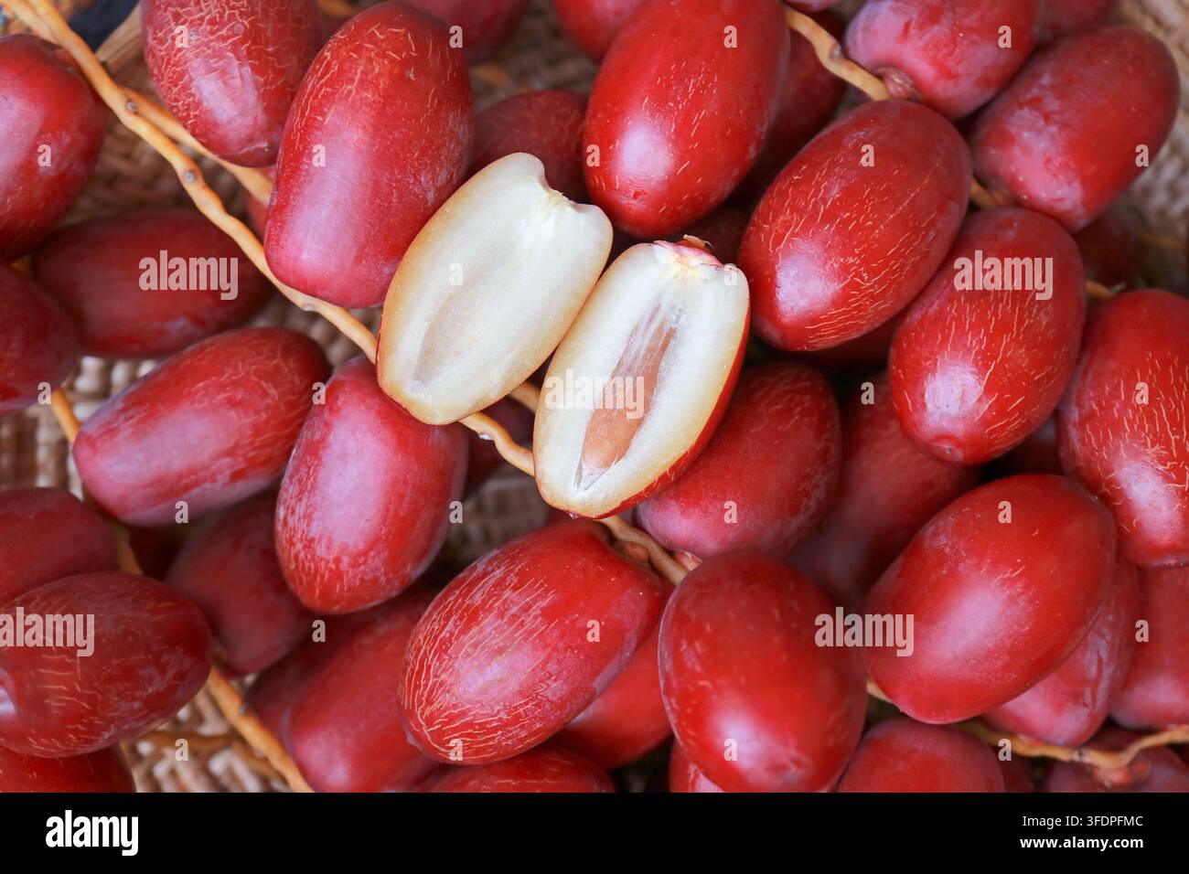 Sezione trasversale macro di una data Khonaizi rossa fresca tagliata a metà che mostra una polpa bianca succosa e una trama fibrosa Foto Stock