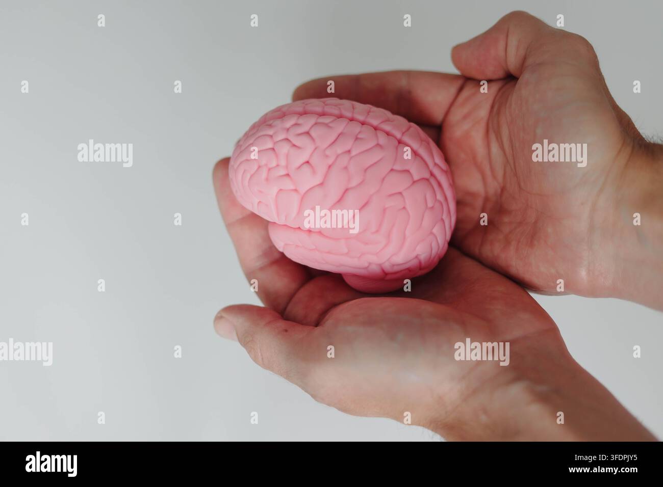 Mani che tengono un modello rosa di un cervello umano, simboleggiando le neuroscienze, la salute mentale, la ricerca medica e l'importanza di proteggere la mente umana. Foto Stock
