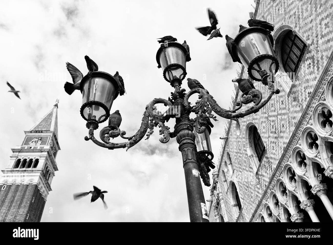 Vista in bianco e nero di un lampione ornato con piccioni che volano vicino al Palazzo Ducale e al Campanile di San Marco a Venezia, Italia. Scena urbana drammatica Foto Stock