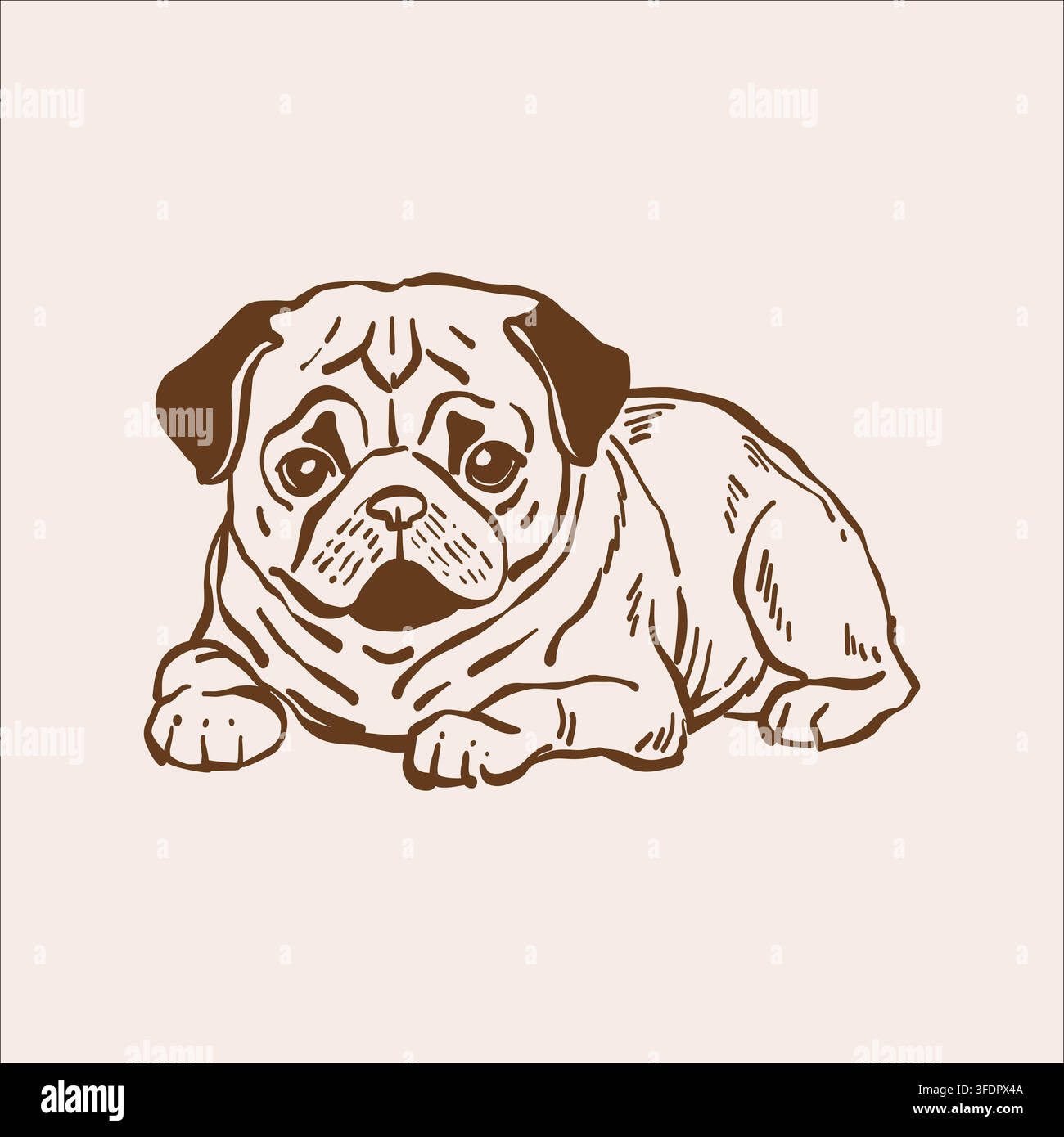 Carlino. Vettore di schizzo a contorno di animale domestico carino. Illustrazione vintage in toni beige e marroni. Illustrazione Vettoriale