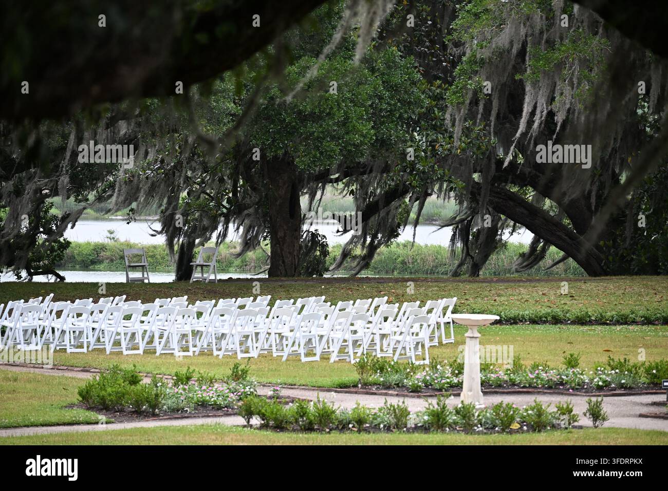Allestimento di una cerimonia nuziale all'aperto sotto querce vive nella Carolina del Sud, USA Foto Stock
