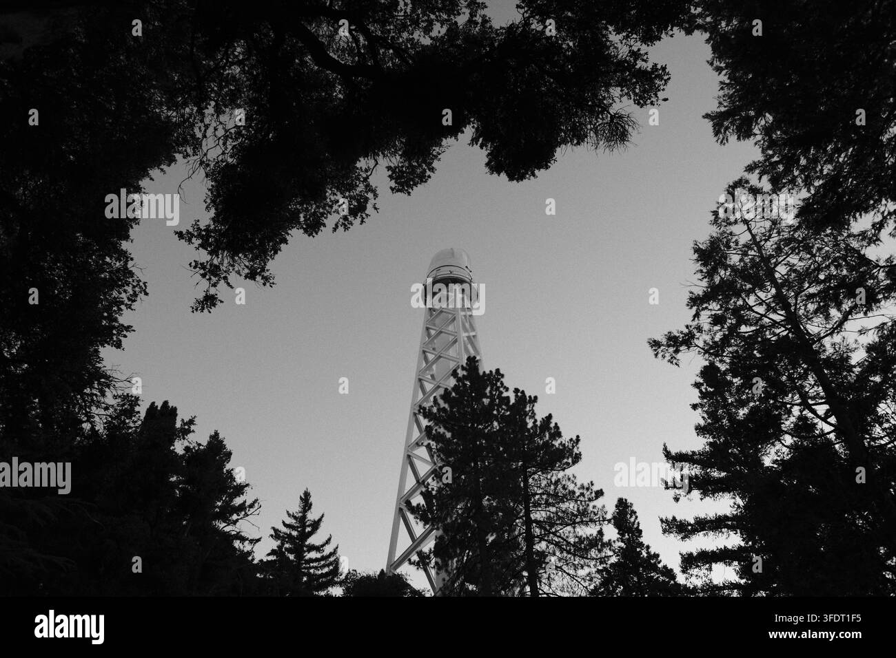 Telescopio del Monte Wilson che si erge dietro rami scuri di alberi e fogliame in una vista in bianco e nero ad alto contrasto. Foto Stock
