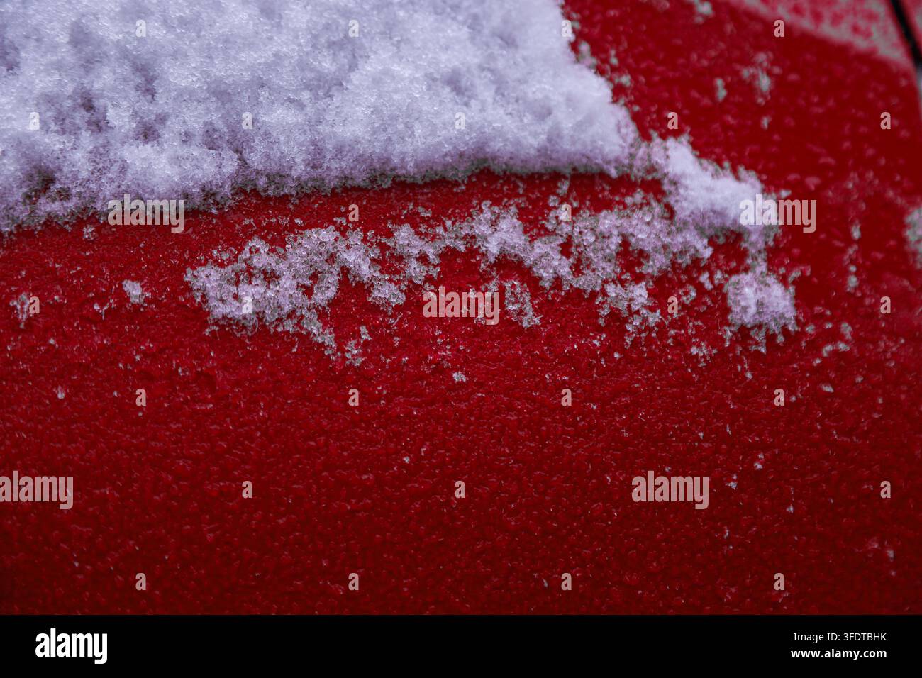Primo piano di neve bianca e gocce d'acqua limpide su una carrozzeria rosso brillante. Texture dettagliata di precipitazioni ghiacciate e umidità su un veicolo lucido ex Foto Stock
