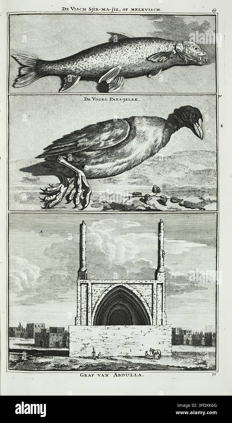 Piastra incisa in tre parti da Reizen over Moskovie, door Persie en Indie di Cornelis de Bruin del 1714. Raffigura un pesce con la didascalia "Sjir-ma-jie, of melkvisch" (pesce latte), una gallinula comune eurasiatica (Fulica atra) con la didascalia Taes-/Paes-jelek e il Santuario di Khwaja Abdullah Ansari a Gazargah vicino a Herat, Afghanistan. Pubblicato come tavola ornamentale di chiusura del capitolo. Foto Stock