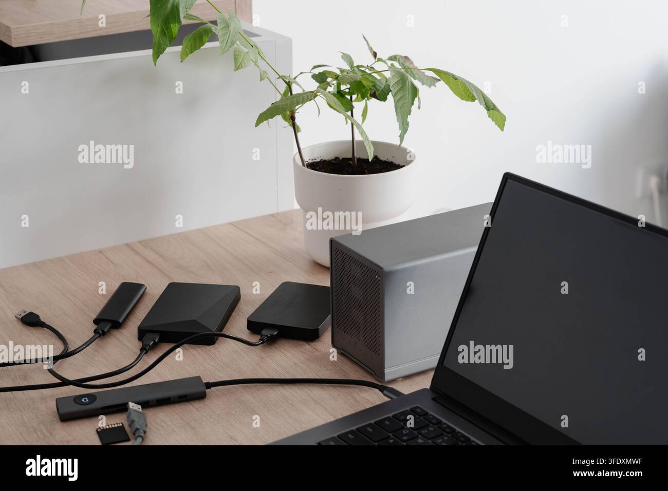 Dischi rigidi esterni, un contenitore RAID e un hub USB sono collegati da cavi su una scrivania di legno accanto a un laptop e una pianta in vaso. Dati dell'ufficio domestico Foto Stock