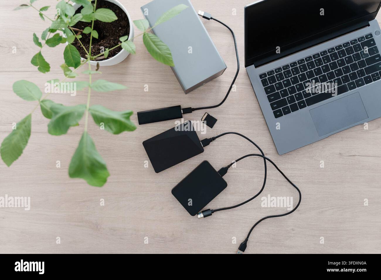 Dischi rigidi esterni portatili, una chiavetta SSD e una scheda di memoria sono appoggiati su una scrivania di legno accanto a un laptop aperto e una pianta verde. Backup dei dati e sicurezza Foto Stock