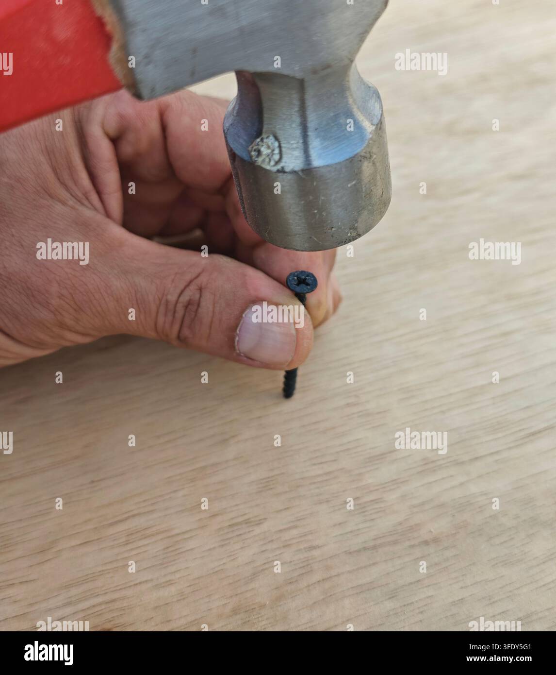 Mano che tiene una piccola vite nera sotto la testa del martello. Superficie di legno sotto. Primo piano. Ideale per il fai-da-te Foto Stock