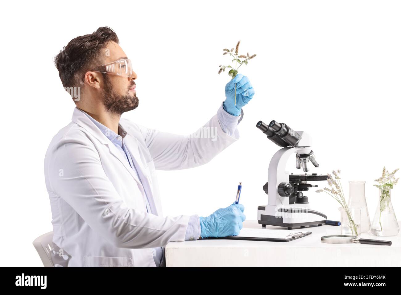 Scienziato che ispeziona un esemplare di pianta in un laboratorio con un microscopio Foto Stock
